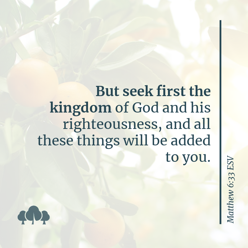 Matthew 6:33