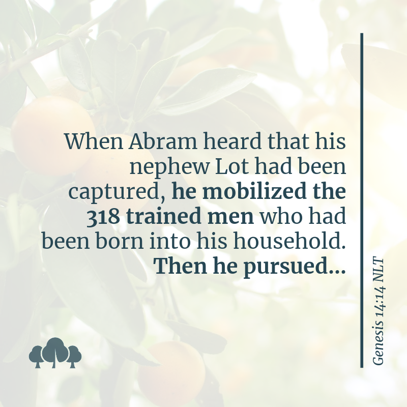Genesis 14:14