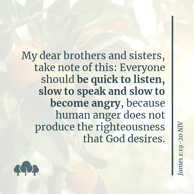 James 1:19-20