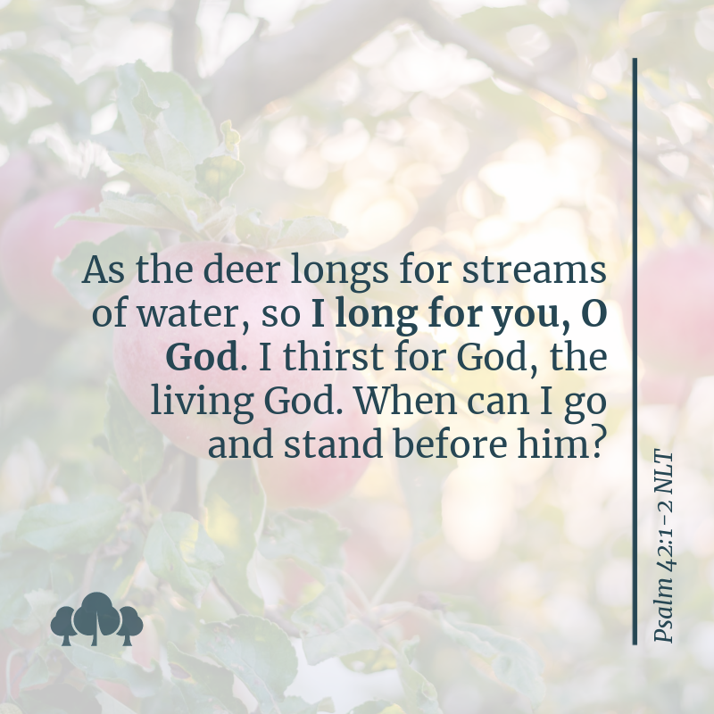 Psalm 42:1-2