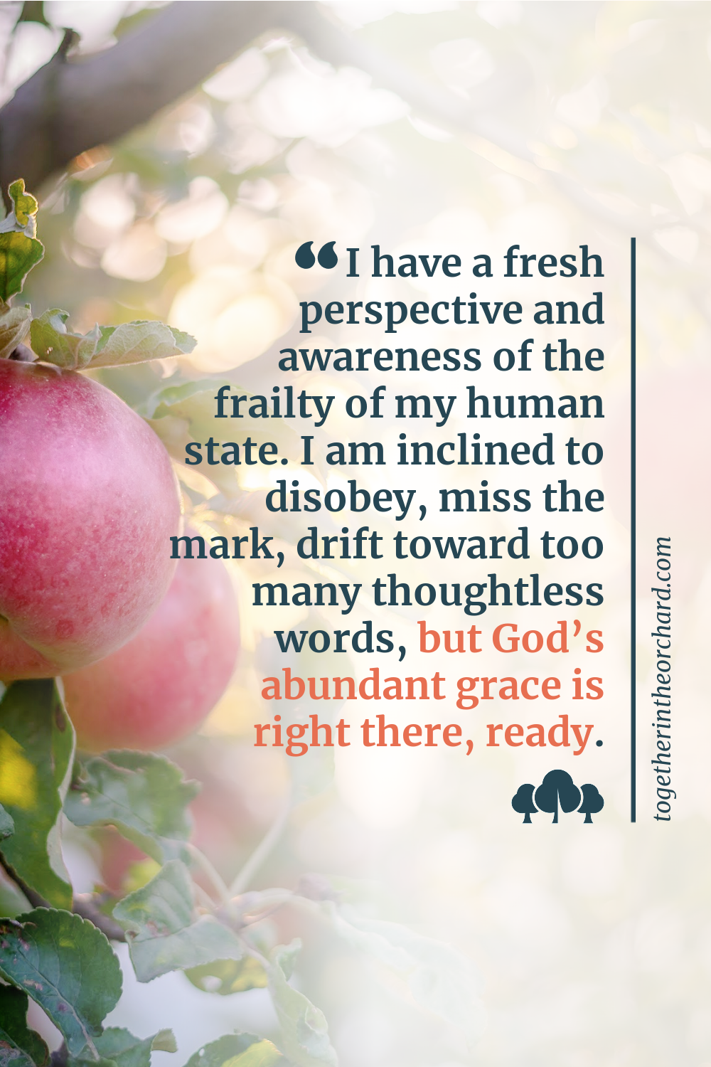 Confidence Recovery After Multiple Car Accidents - Featured Image