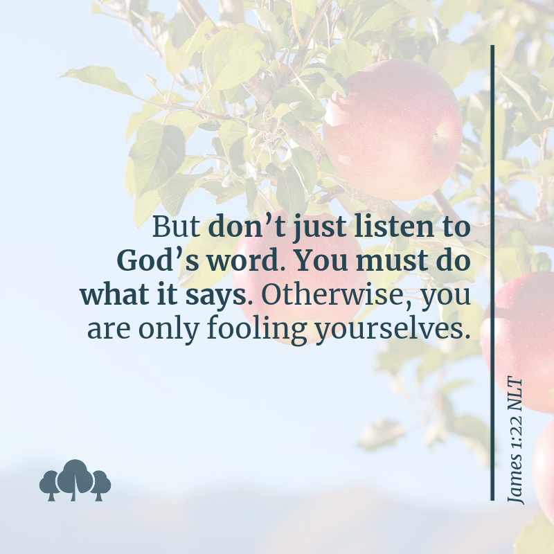 James 1:22