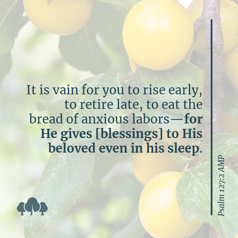 Psalm 127:2