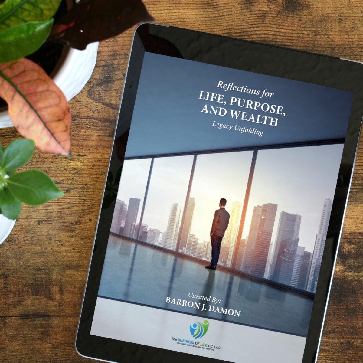 Reflections by Barron Damon