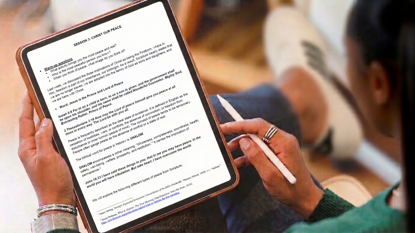 Freedom workbook - before