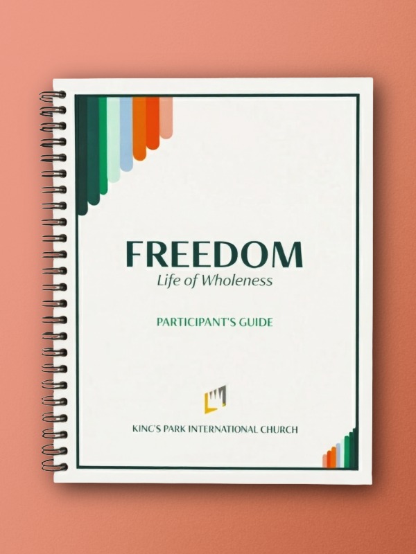 freedom workbook